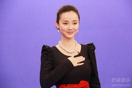 演员杨梅,光影交织下的璀璨星途